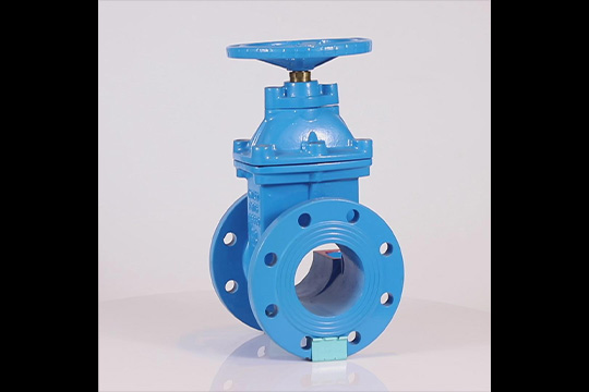 Gate valve