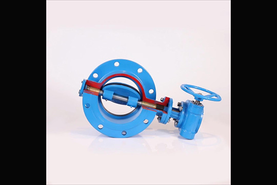 Butterfly valve