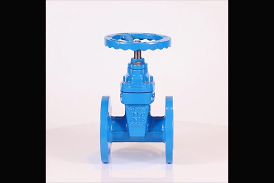 Gate valve